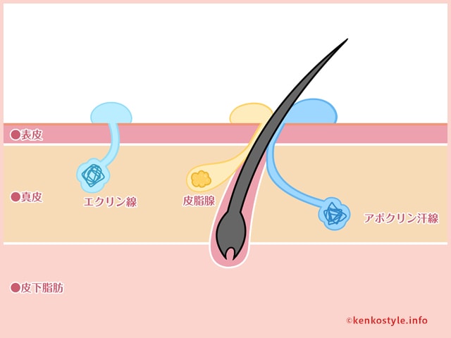 運動中はメイクを落とすべき 化粧によるお肌への悪影響とデメリットの解説